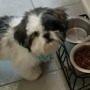 Meet your Posher, Casey